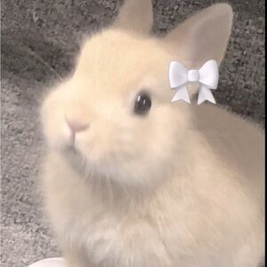 Vintage Juicy Couture Listing for @sdsrgutierrez